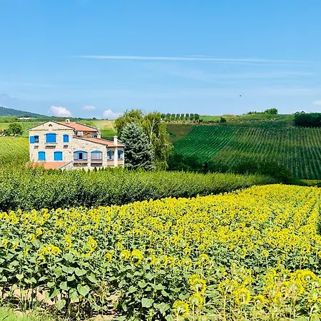 Stone In Fruska Gora *