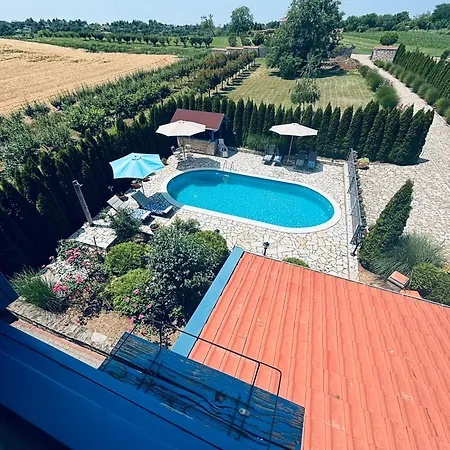 Stone In Fruska Gora