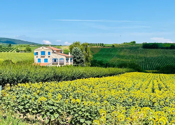 Stone In Fruska Gora *