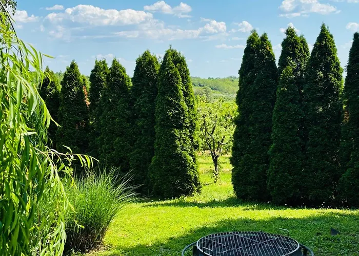 Villa Stone In Fruska Gora Irig